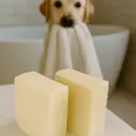 Dog holding a towel in its mouth beside a bathtub, with two Spaw N Suds soap bars on the counter